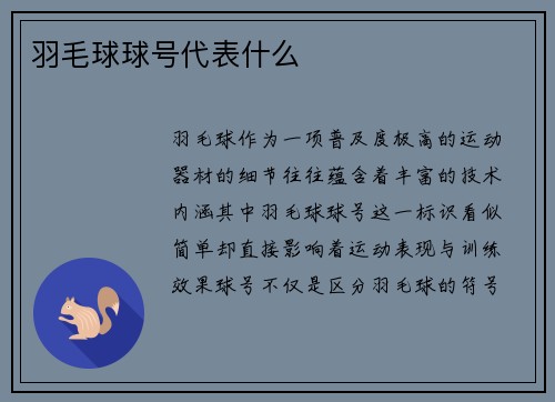 羽毛球球号代表什么